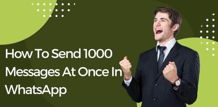 How To Send 1000 Messages At Once In WhatsApp
